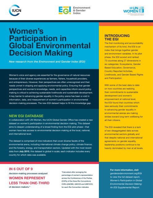 Women’s Participation in Global Environmental Decision Making