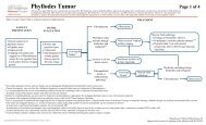 ca-treatment-phyllodes-web-algorithm