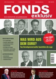 Euro - Grüner Fisher Investments