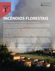 Incêndios Florestais - Porque ardem as florestas?