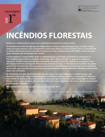 Incêndios Florestais - Porque ardem as florestas?