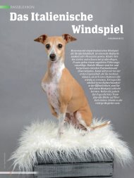 windspiel