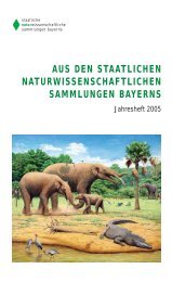 Jahresheft 2005 - Staatliche Naturwissenschaftliche Sammlungen ...