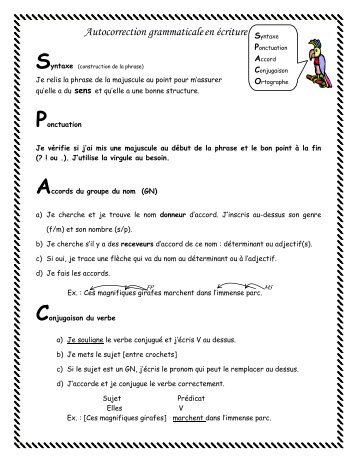 Syntaxe Ponctuation Accords Conjugaison