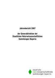 SNSB Jahresbericht 2007 - Staatliche Naturwissenschaftliche ...