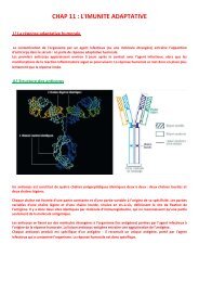 CHAP 11  L'IMUNITE ADAPTATIVE