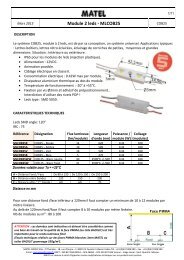 Module 2 leds - MLCOB25