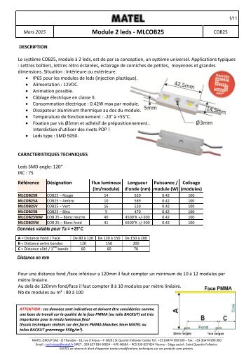 Module 2 leds - MLCOB25