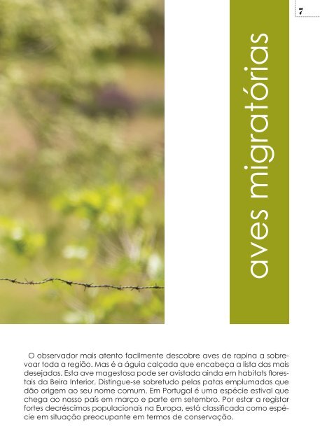 YUPMAG - MAGAZINE DE TURISMO RURAL - OUTONO 2015