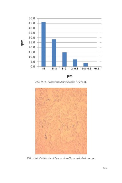 Yttrium-90 and Rhenium-188 Radiopharmaceuticals for Radionuclide Therapy