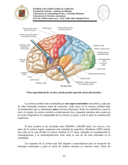 Principios-de-Neuroanatomia