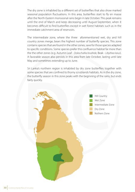 Common Butterflies of Sri Lanka