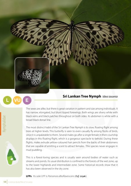 Common Butterflies of Sri Lanka