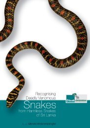 Recognizing Deadly Venomous Snakes from Harmless Snakes of Sri Lanka