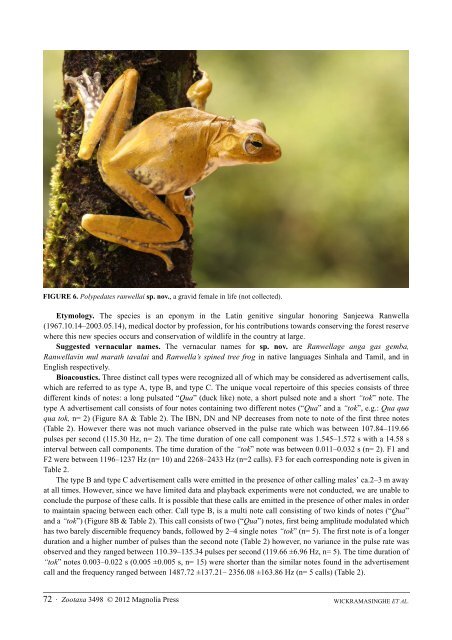 Identification of Novel Species by Herpetological Foundation of Sri Lanka in Collaboration with Dilmah Conservation
