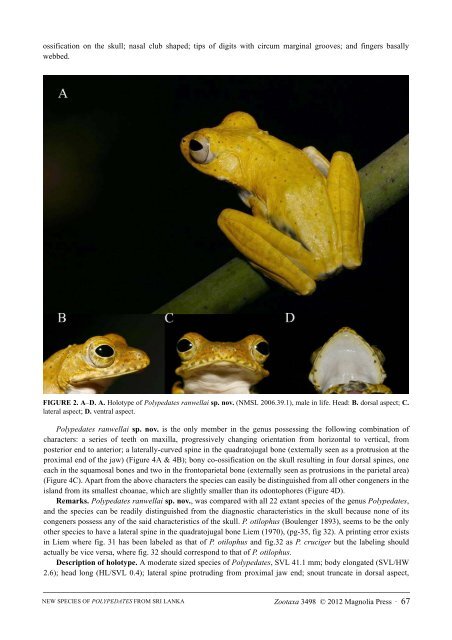 Identification of Novel Species by Herpetological Foundation of Sri Lanka in Collaboration with Dilmah Conservation