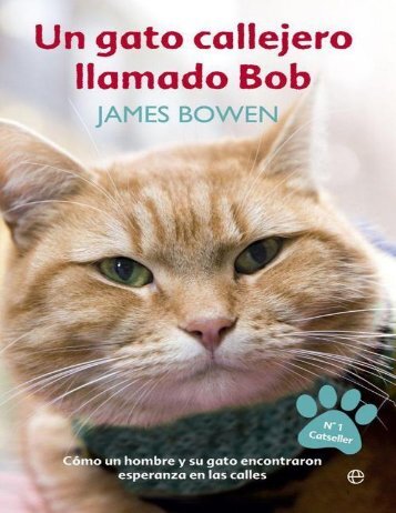 Un gato callejero llamado Bob - James Bowen
