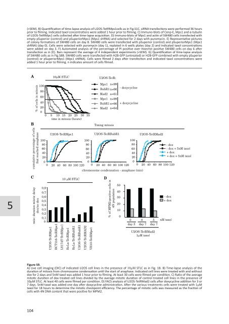 Chromosome segregation errors: a double-edged sword - TI Pharma