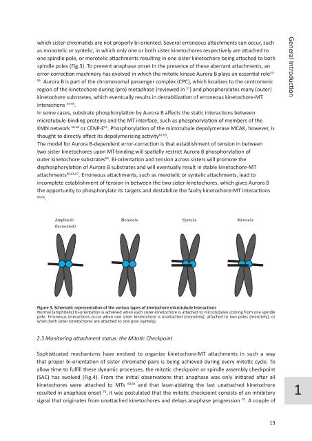 Chromosome segregation errors: a double-edged sword - TI Pharma