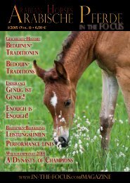 Arabische Pferde IN THE FOCUS Nr. 1/2015 (Vol. 1)