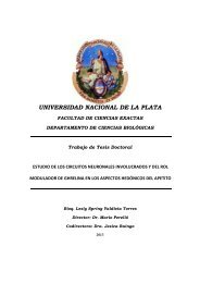 UNIVERSIDAD NACIONAL DE LA PLATA