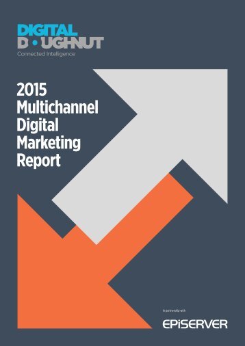 2015 Multichannel Digital Marketing Report