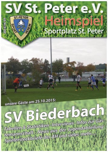 SVS-Heimspiel 2015/16-07