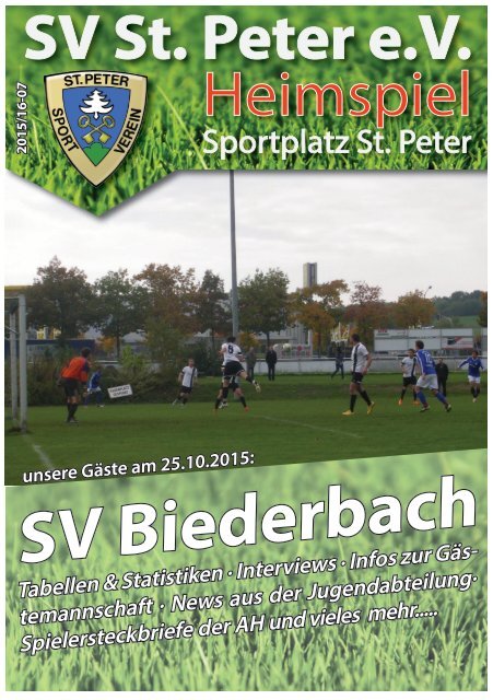 SVS-Heimspiel 2015/16-07
