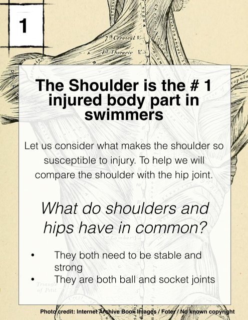 The #1 Swimming Injury