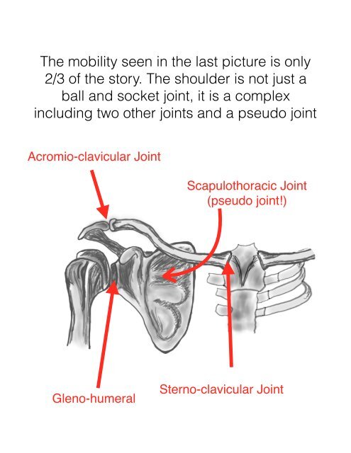 The #1 Swimming Injury