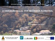 A DIMENSÃO SOCIAL DOS INCÊNDIOS FLORESTAIS