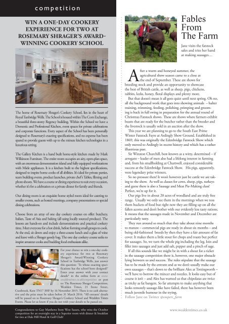 Wealden Times | WT165 | November 2015 | Gift supplement inside