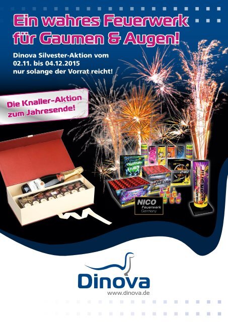 Dinova_Flyer_SilvesterAktion_2015