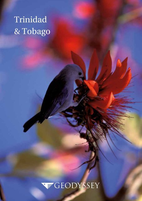 Geodyssey Trinidad and Tobago brochure for web use