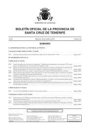 BOLETÍN OFICIAL DE LA PROVINCIA DE SANTA CRUZ DE TENERIFE