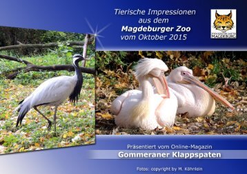 Tierische Impressionen aus dem Magdeburger Zoo vom Oktober 2015