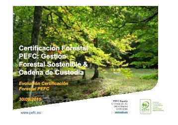 Certificación Forestal PEFC Gestión Forestal Sostenible & Cadena de Custodia