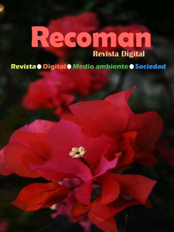 Revista Digital