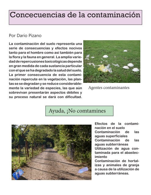 Revista digital