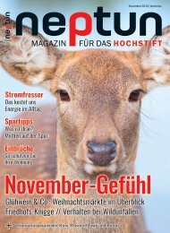 Neptun Magazin November 2015