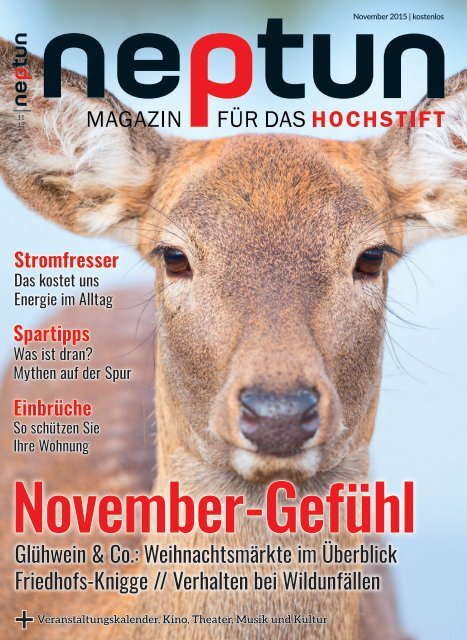 Neptun Magazin November 2015