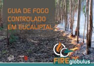 GUIA DE FOGO CONTROLADO EM EUCALIPTAL