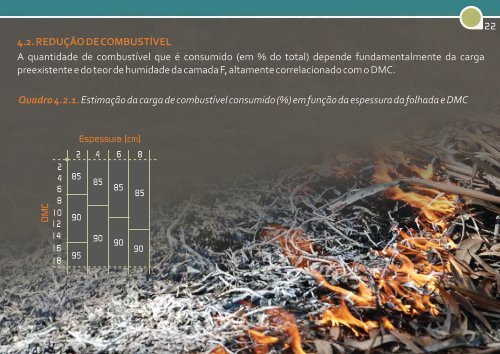 GUIA DE FOGO CONTROLADO EM EUCALIPTAL