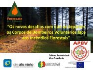 Os novos desafios com que se deparam os Corpos de Bombeiros Voluntários face aos Incêndios Florestais