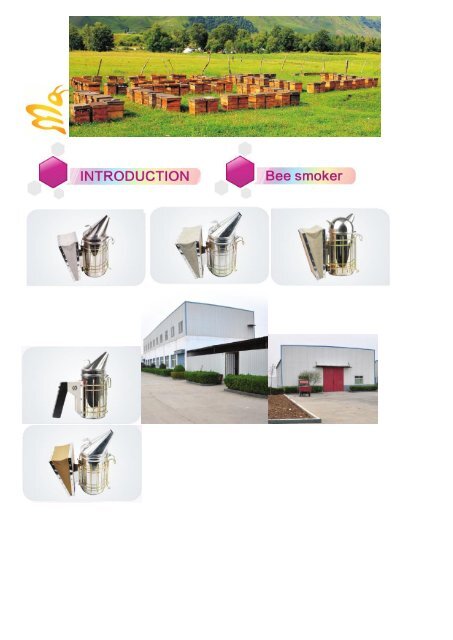 PROBA KATALOG SLIKE 1