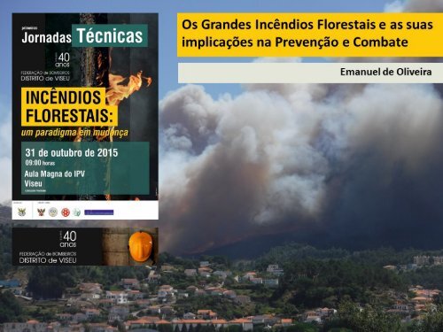 Os Grandes Incêndios Florestais e as suas implicações na Prevenção e Combate