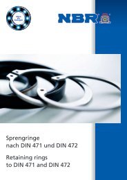 NBR_Sprengringe