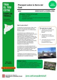 Planejant sobre la Serra del Cadí