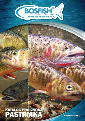 Bosfish katalog