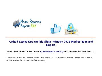  United States Sodium bisulfate Industry 2015 Market Research Report 